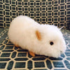 Alpaca Guinea Pig