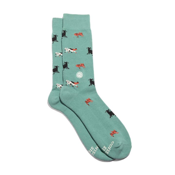 Teal Save Cats Socks
