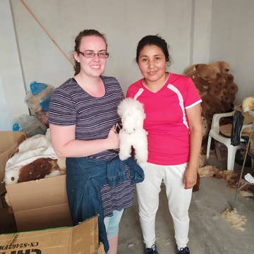 Alpaca Unicorn - Assorted