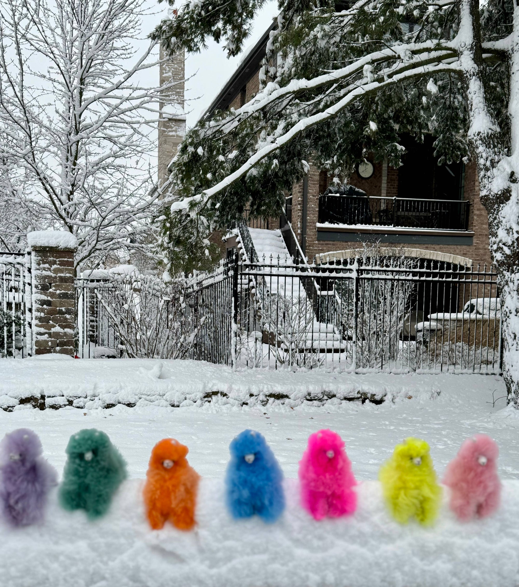 Alpaca Llama in Rainbow Colors