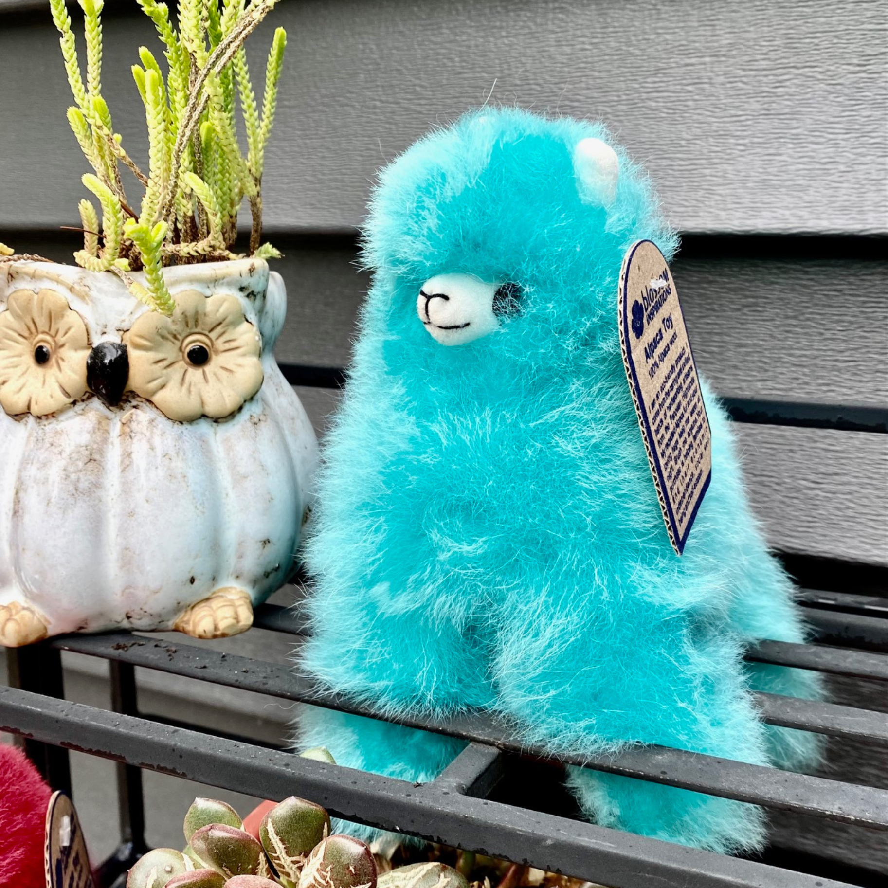 Alpaca Llama in Rainbow Colors