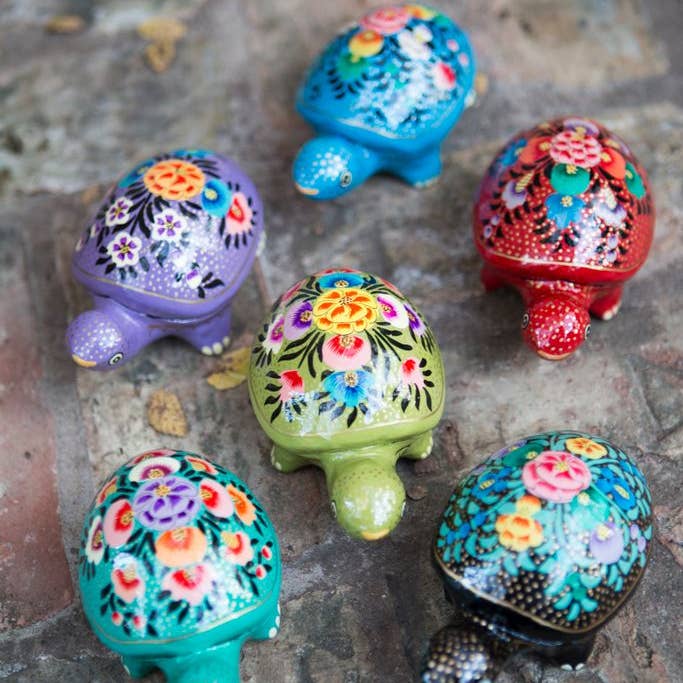 Turtle Box - Assorted