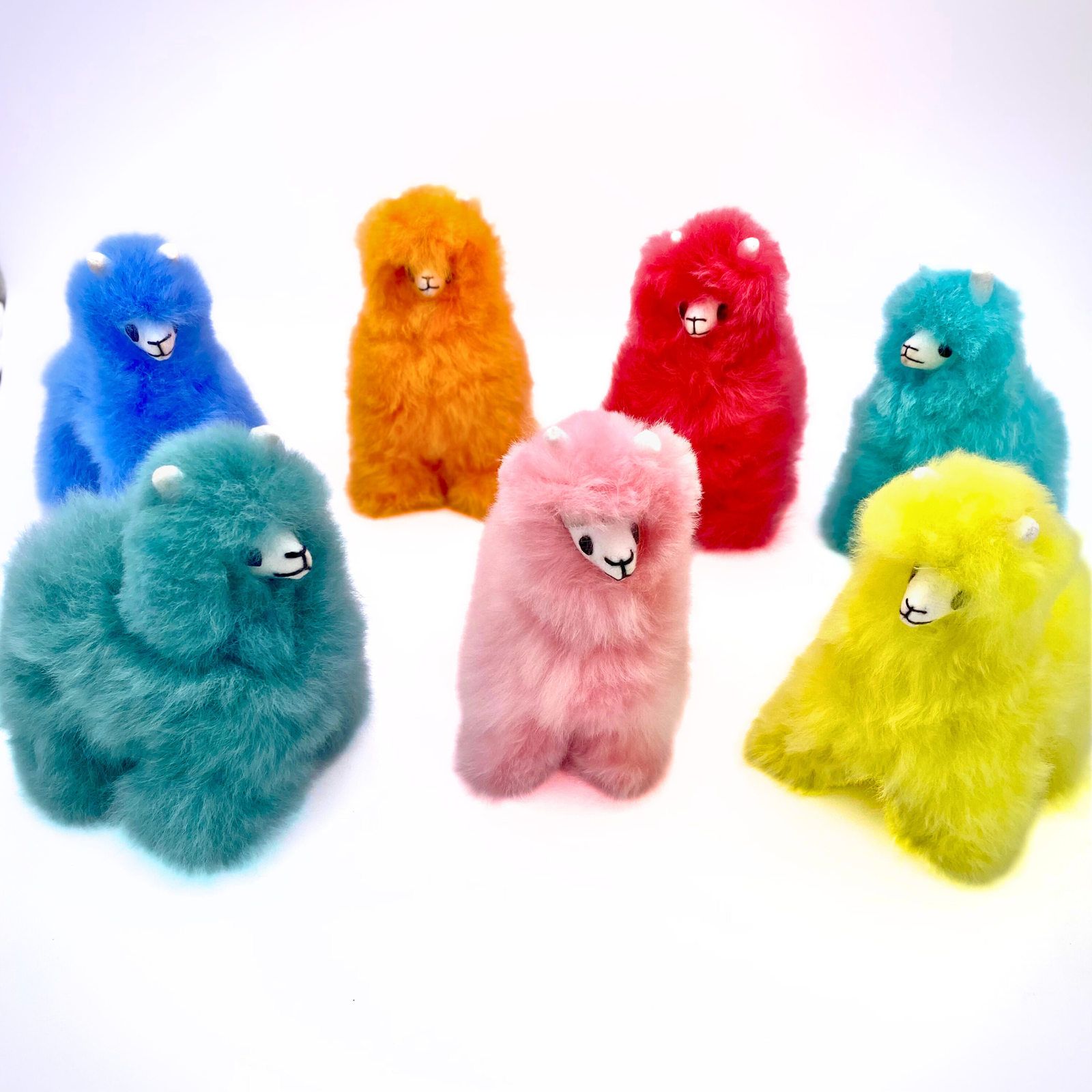 Alpaca Llama in Rainbow Colors
