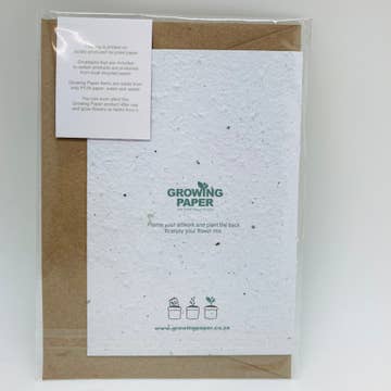 More Patterns Growing Paper Card