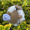 Alpaca Guinea Pig