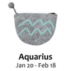 Felt Aquarius Zodiac Coin Purse - Global Groove