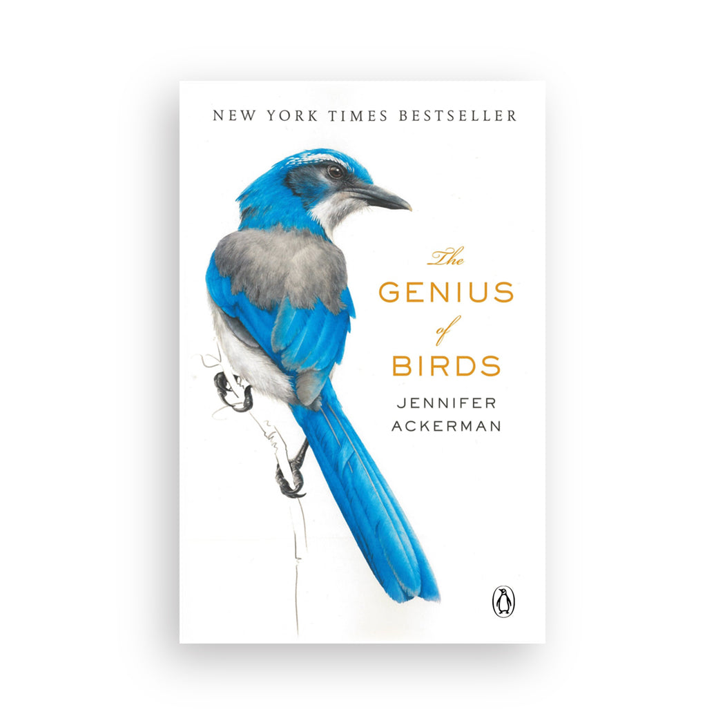 The Genius of Birds by Jennifer Ackerman