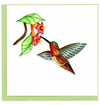 Quilled Rufous Hummingbird Greeting Card